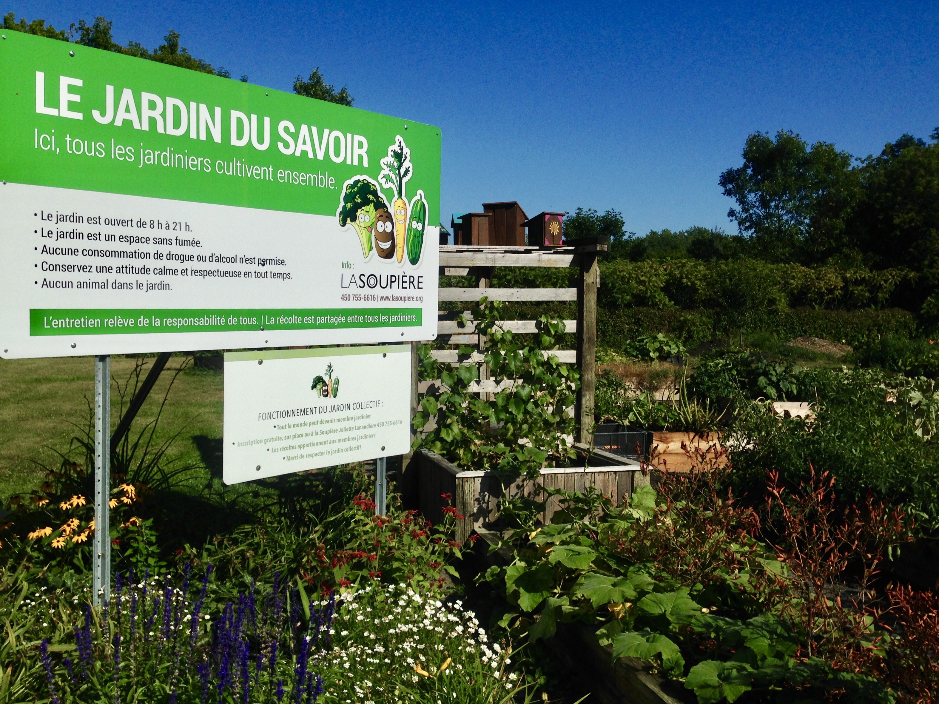 Jardindusavoirjoliette jnmarion