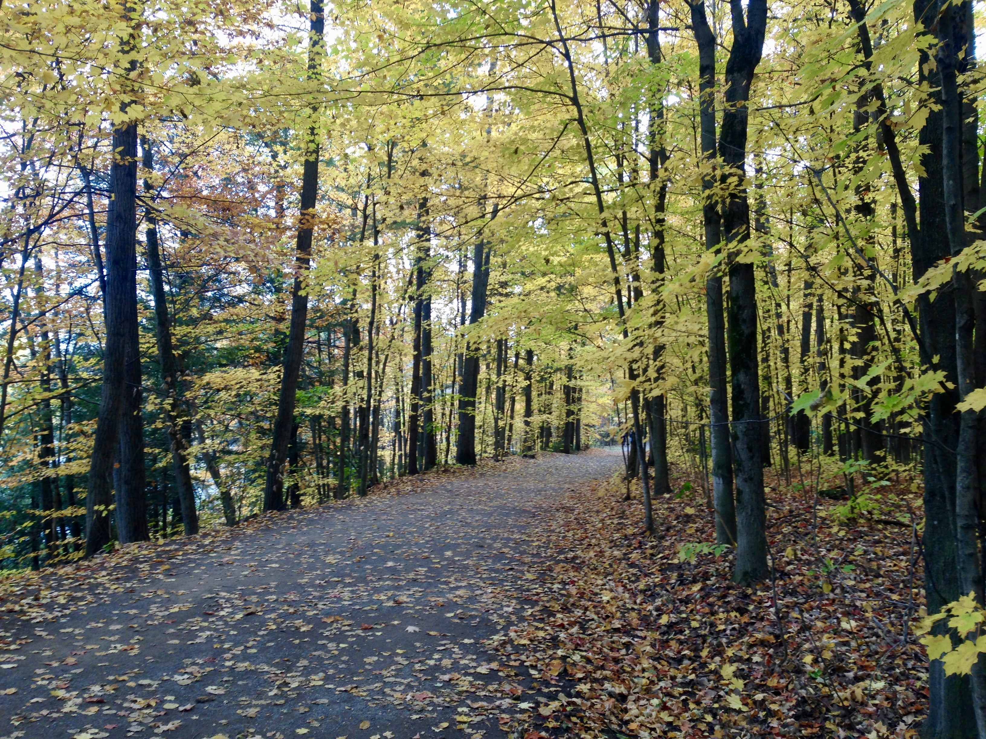 Sentierparcriverainjoliette 2 jnmarion