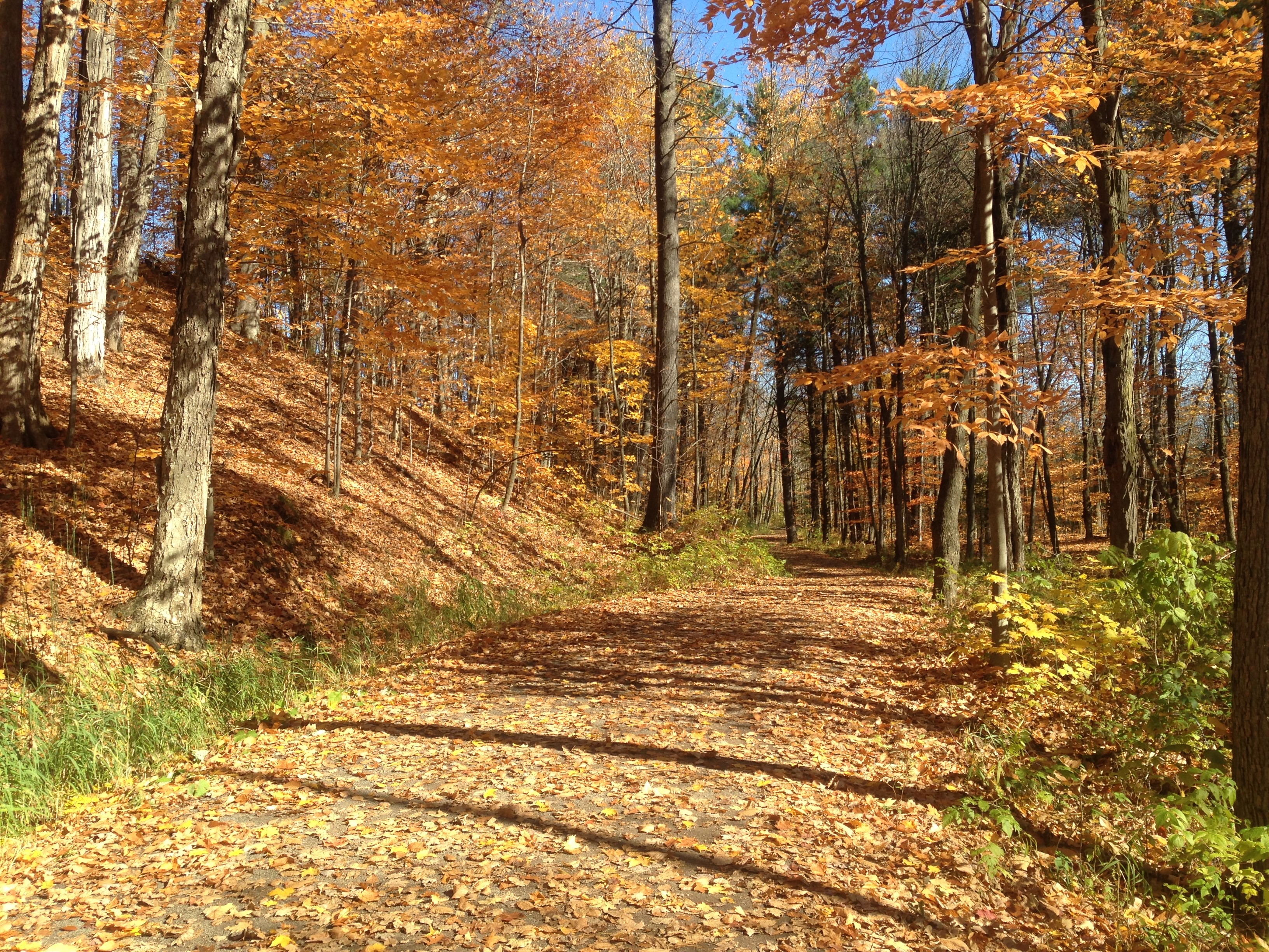 Sentierparcriverainjoliette jnmarion