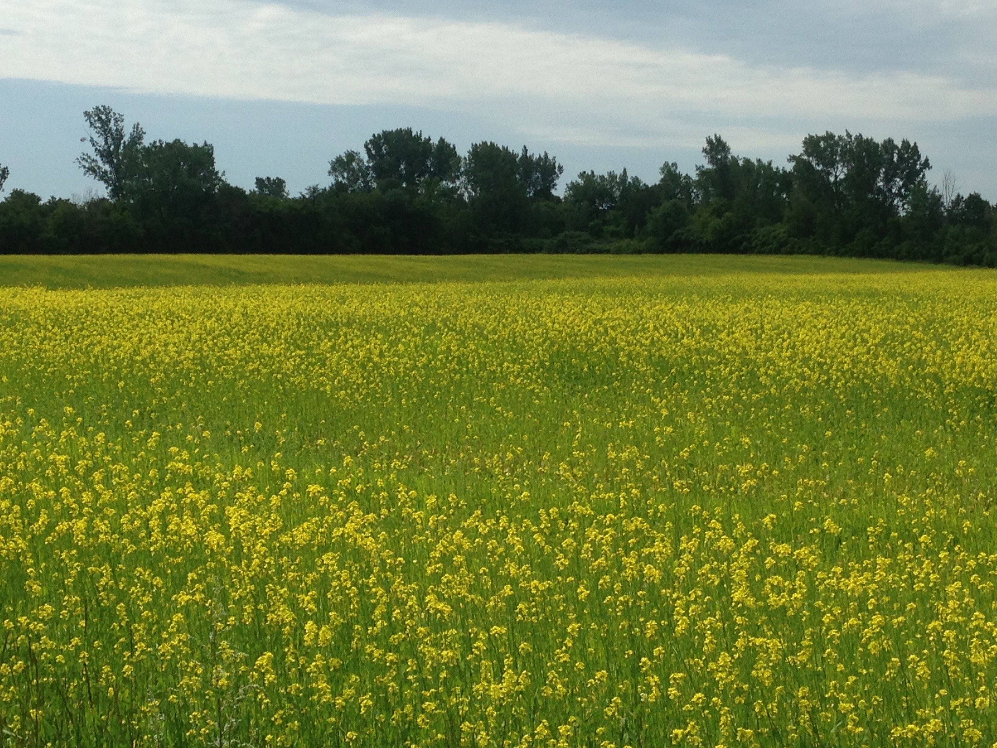 Septembreaoutement jnmarion