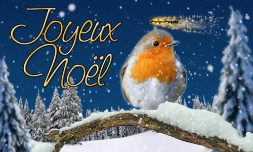 2016 joyeux noel oiseau