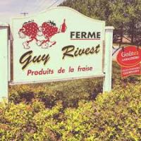 2017 ferme guy rivest