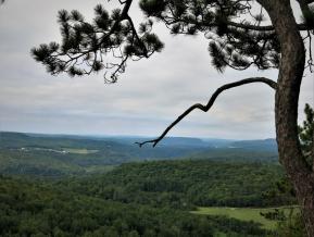 Aubergemontagnecoupeepaysage