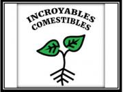 Incroyables comestibles4