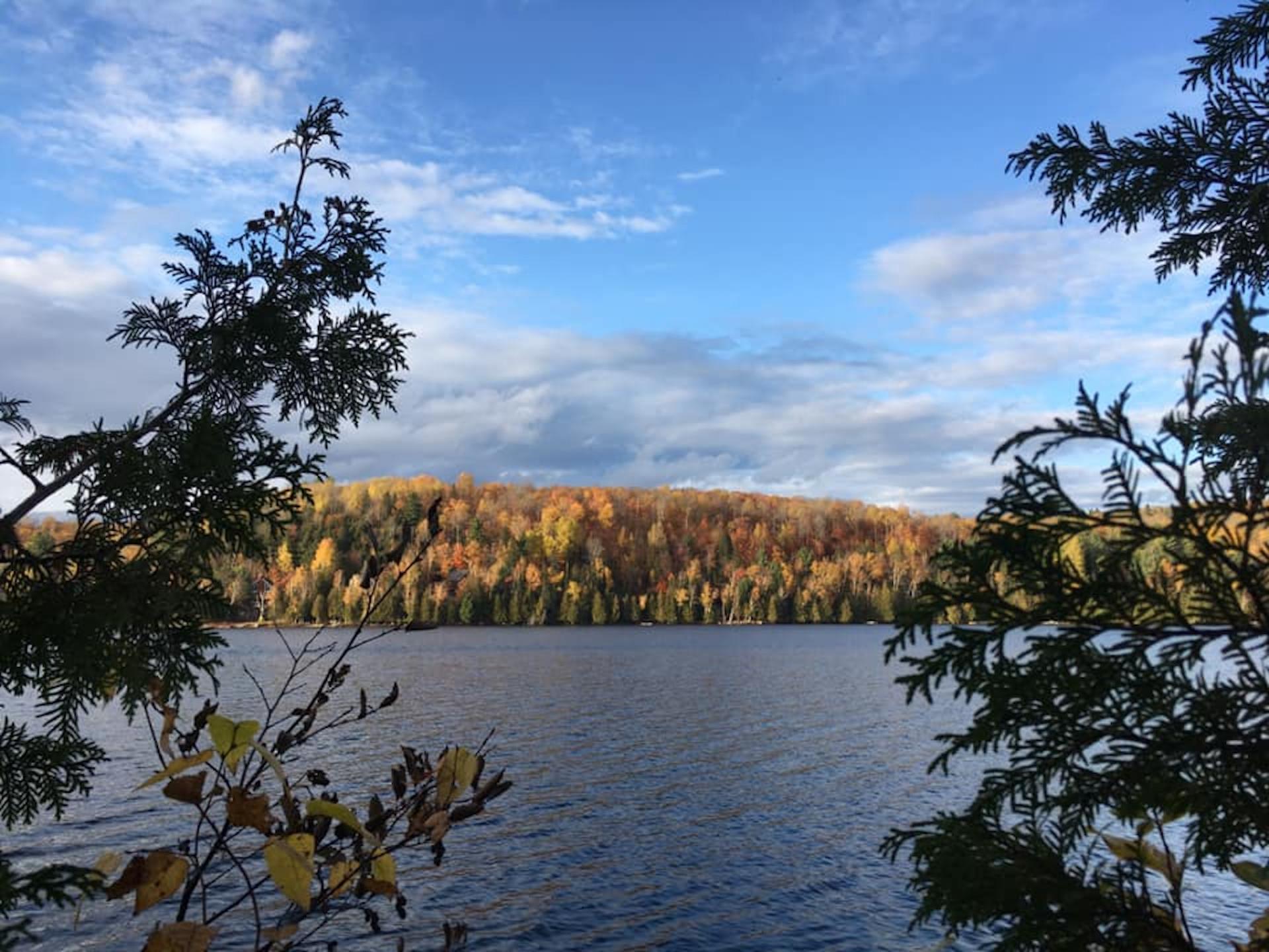 Josée Desrosiers L'automne au Lac Brûlé