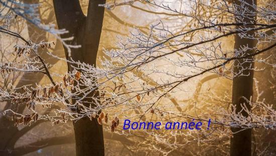 Lumiere hivernale