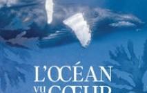 Ocean vu